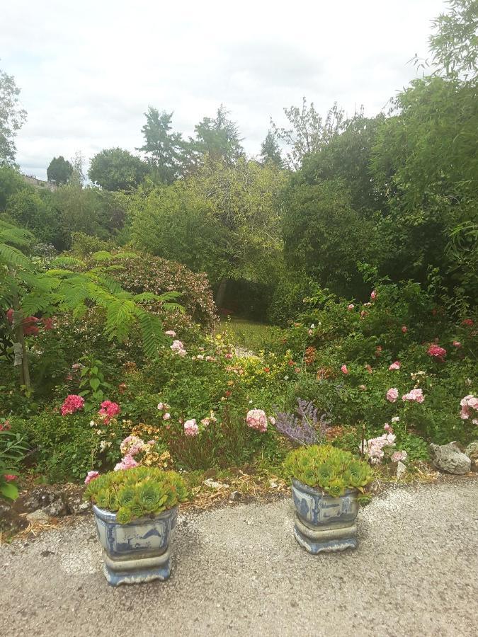 La Maison Des Thermes, Chambre D'Hote Saintes Exteriör bild