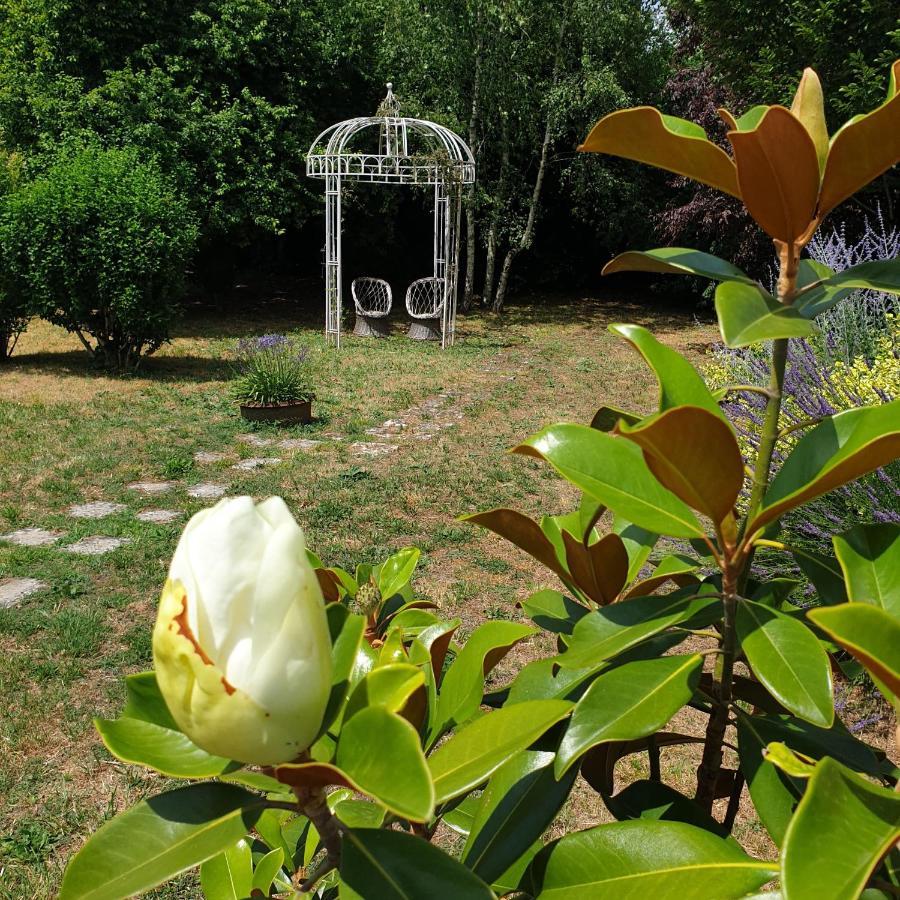 La Maison Des Thermes, Chambre D'Hote Saintes Exteriör bild